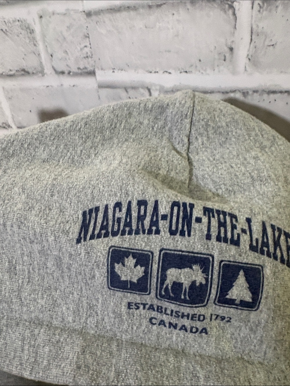 Gray Hoodie with Navy Niagara-On-The-Lake Print, small - Picture 7 of 7
